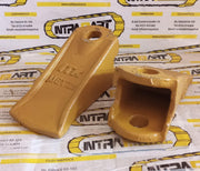UETZ2 DINTE CUPA E436