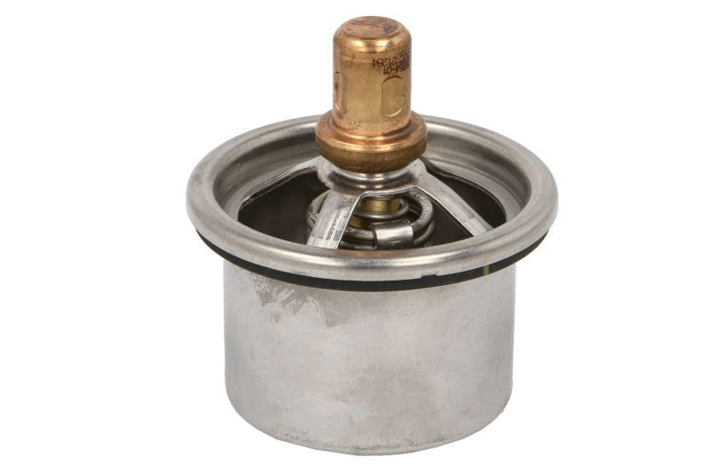 Termostat CAT D8T