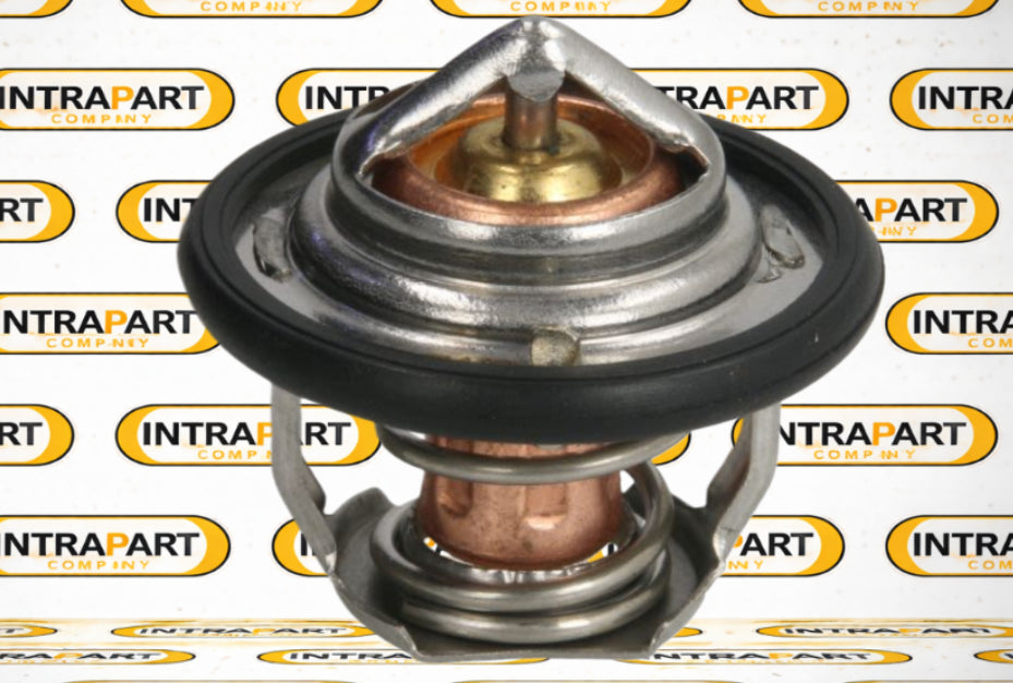 Termostat, Yanmar VIO25, 119717-49800